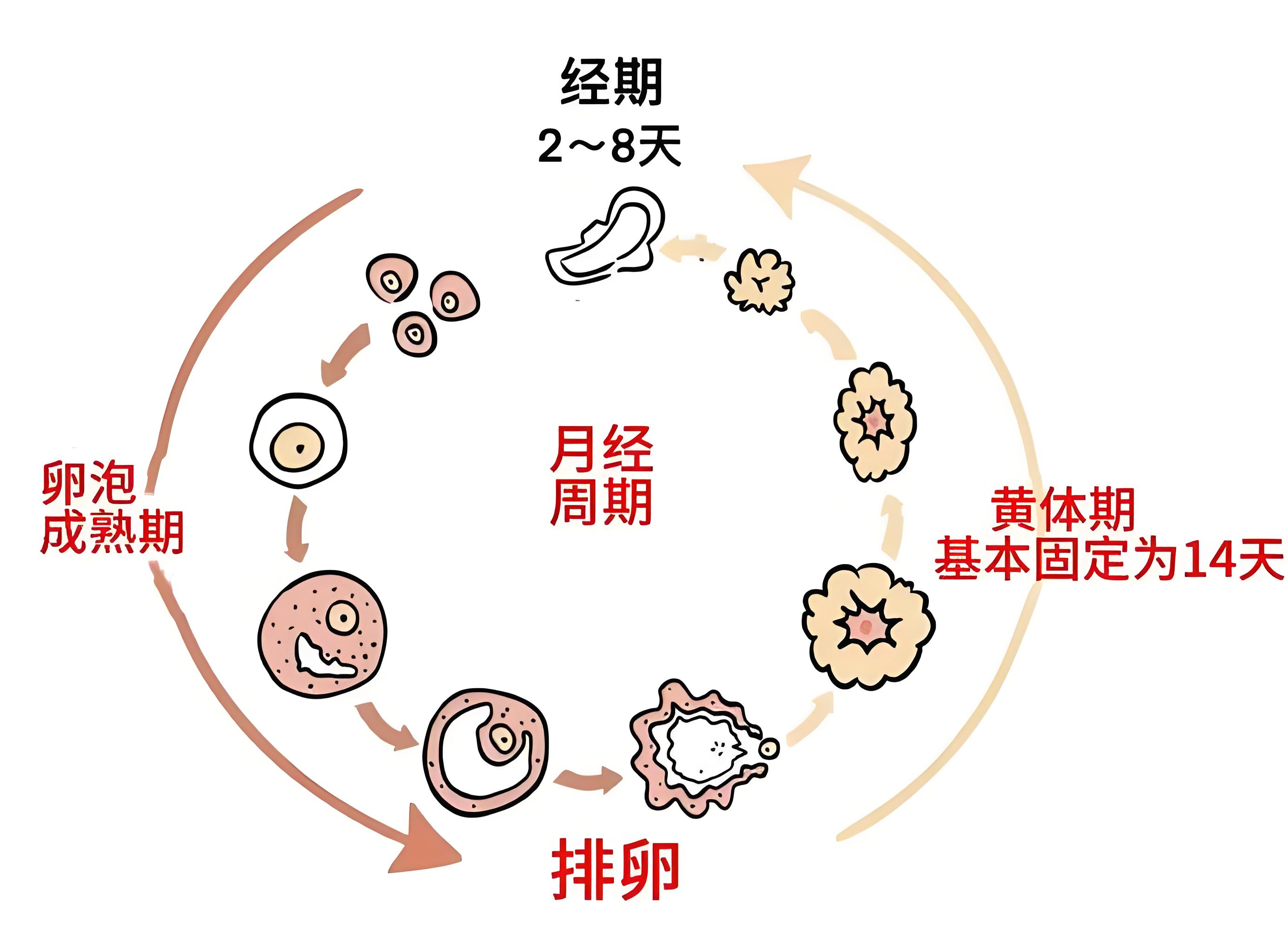 圖片 1.png